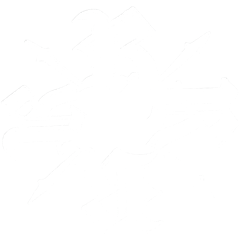 Reve Noir